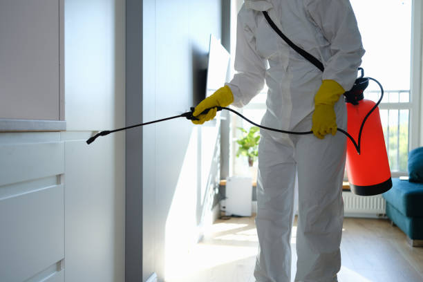Best Mold Remediation for Specific Building Types in Worcester, MA