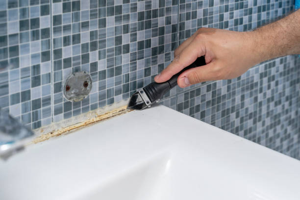 Best Residential Mold Remediation in Worcester, MA